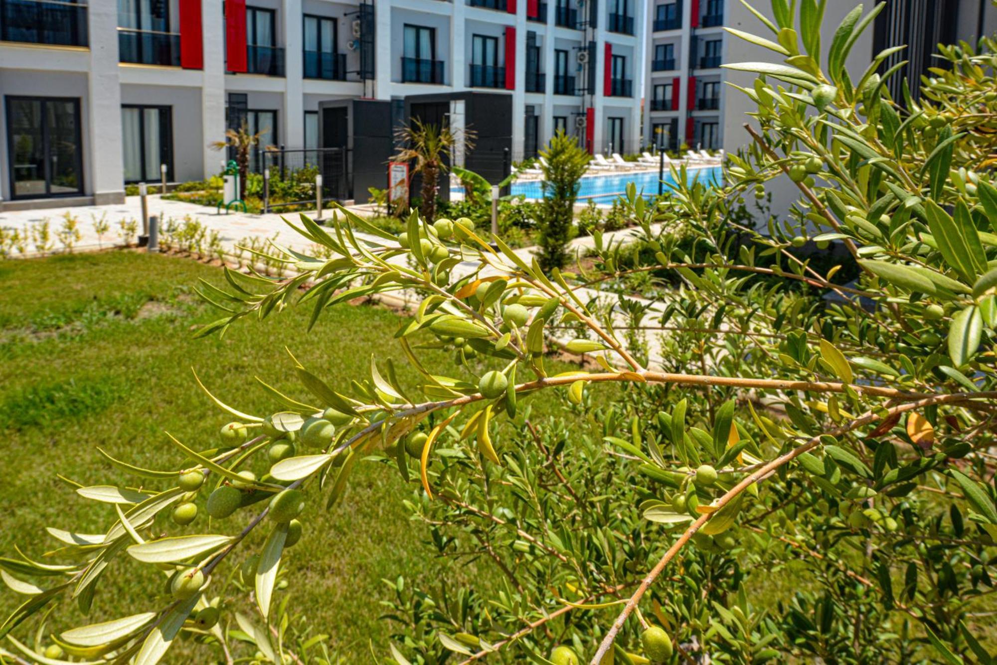 C Airport Apartament